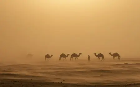 الأرصاد الجوية تعلن عن حالة طقس استثنائية خلال الأسبوع المقبل مع تحذيرات الطوارئ