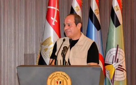 الرئيس السيسي يؤكد على عدم المقامرة بحياة المصريين من أجل إدخال المساعدات إلى غزة بالقوة