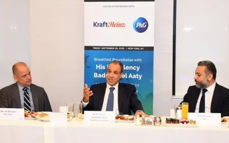 وزير الخارجية يعبر عن تقديره للشراكة الاستراتيجية القوية بين مصر والولايات المتحدة