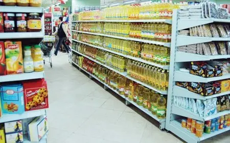 أسعار السلع اليوم الجمعة 26 سبتمبر 2025 الدقيق ينخفض إلى 26 جنيها