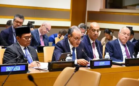 وزير الخارجية يدعو لتوحيد الجهود لتعزيز تمثيل الدول النامية في صنع القرار الاقتصادي الدولي