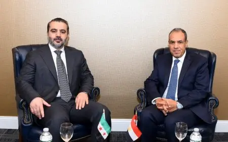 وزير الخارجية يؤكد دعم مصر لوحدة سوريا وسلامة أراضيها واستعادة سيادتها الكاملة