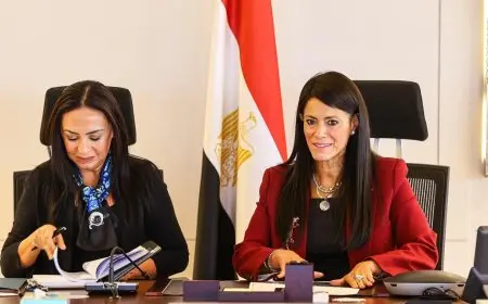 وزيرة التخطيط تستعرض خطة الاستثمار للتضامن الاجتماعي لعام 2025 2026