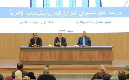التنظيم والإدارة تعلن عن خطة لتطوير الموارد البشرية وتحديث الملف الوظيفي لتعزيز الأداء المؤسسي