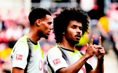 بوروسيا دورتموند يحقق انتصاراً ساحقاً على ماينز بثنائية في الدوري الألماني