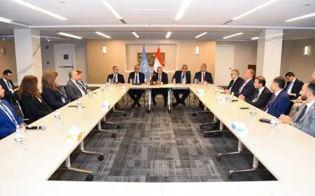 وزير الخارجية يجتمع بالمصريين العاملين في الأمم المتحدة في نيويورك لتعزيز العلاقات القنصلية