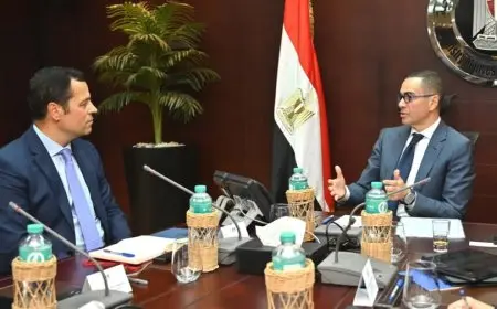 وزير الاستثمار المصري يناقش مع وفد صندوق النقد الدولي تحسين بيئة الأعمال والإصلاحات الاقتصادية في مصر