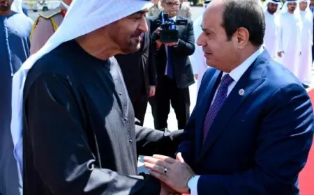 الرئيس السيسي يستقبل الشيخ محمد بن زايد في مطار القاهرة لتوديعه رسميًا