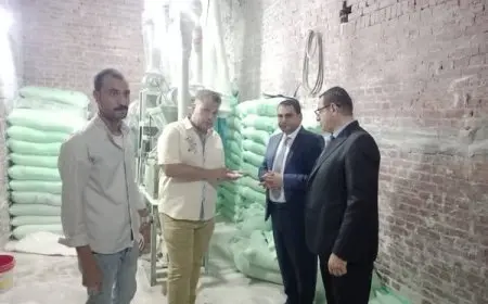 تموين الجيزة يضبط 5 أطنان من الدقيق البلدي المدعم في الصف