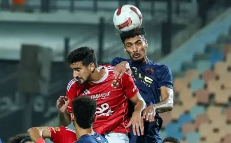 لجنة ضبط الأداء الإعلامي تبرز أهمية مبادرة البث المشترك بين قناتي الأهلي والزمالك