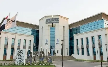 تنظيم الاتصالات يتيح لسبع شركات عالمية في صناعة السيارات تقديم خدمات إنترنت الأشياء