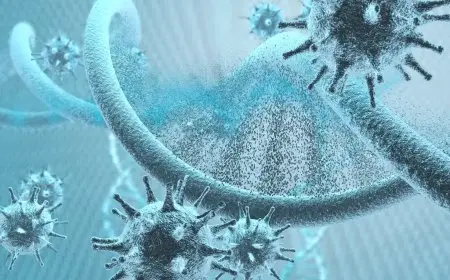 بيان مهم من وزارتي الصحة والتعليم حول فيروس اليد والفم والقدم HFMD