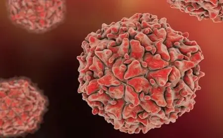 الصحة تكشف عن خطوات فعالة للوقاية من فيروس HFMD من خلال غسل اليدين وتعقيم الأسطح