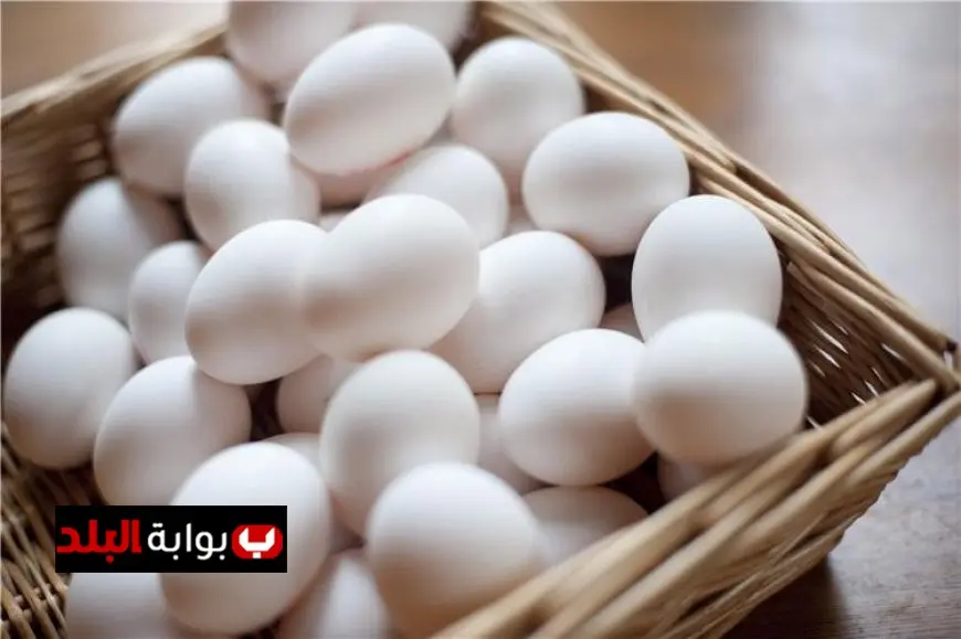 سعر كرتونة البيض اليوم الثلاثاء في الأسواق بعد استئناف مشاريع الإنتاج