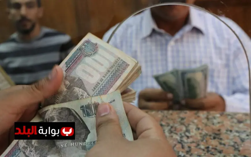 كل ما تحتاج معرفته عن خطوات الحصول على معاش تكافل وكرامة 2025
