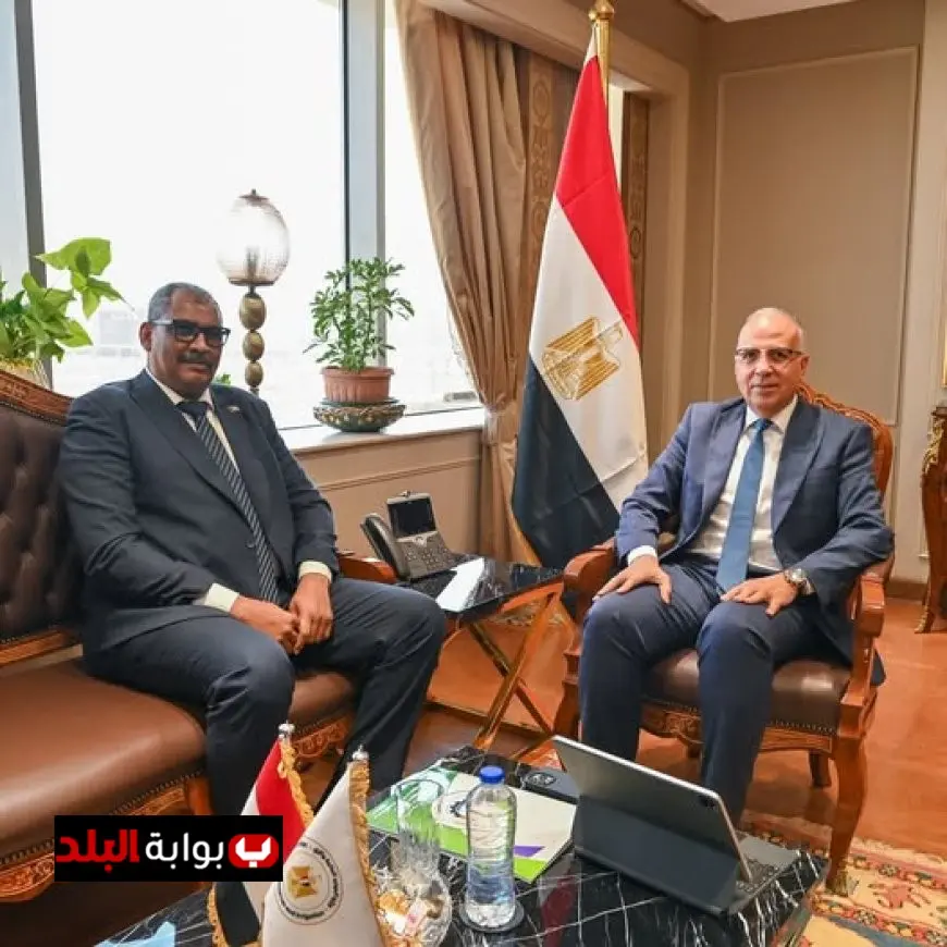 مصر والسودان تتفاوضان حول آخر مستجدات أزمة السد الإثيوبي