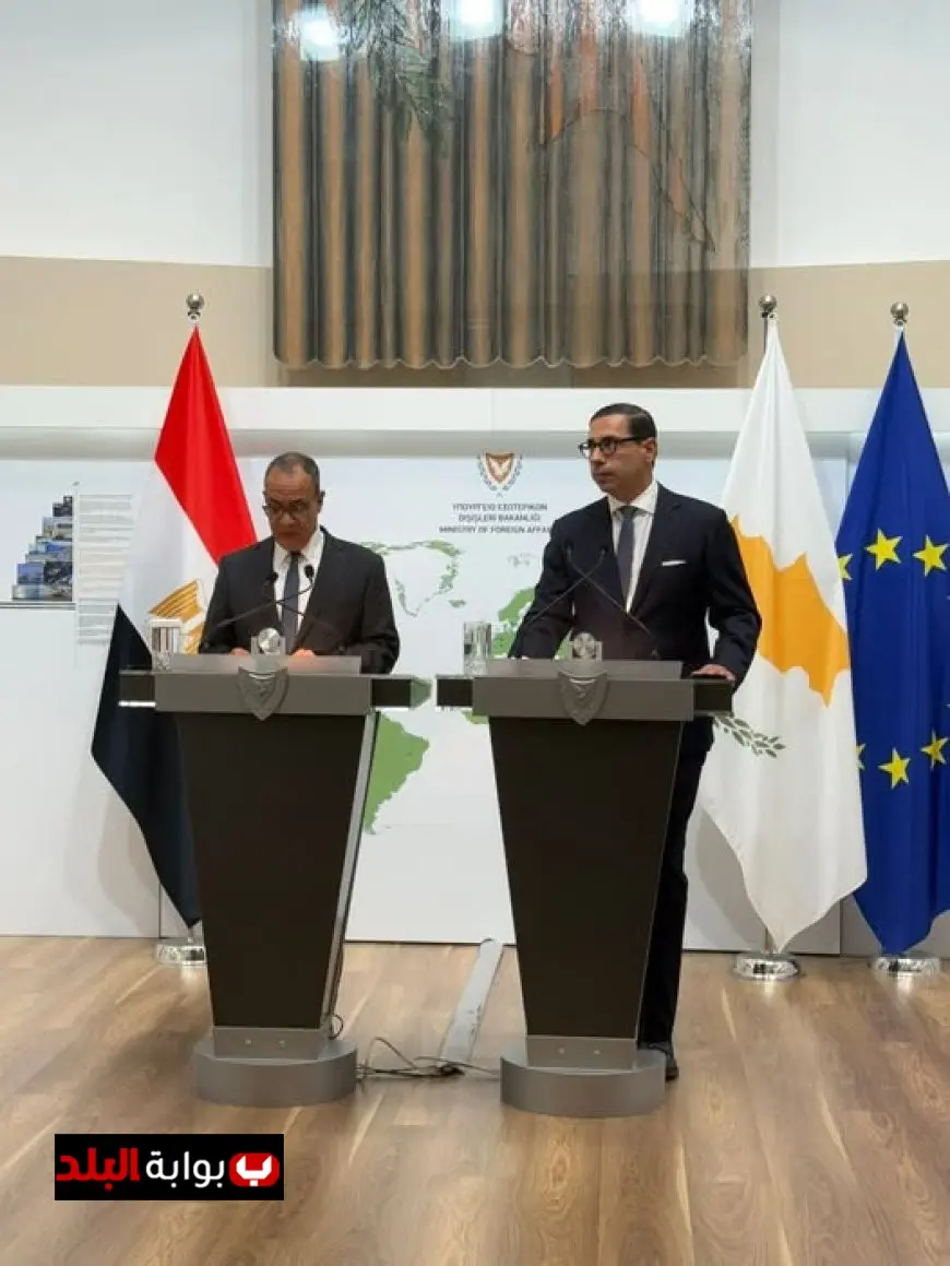 قبرص تعبر عن امتنانها لمصر بعد إرسال طائرتين عسكريتين لدعم جهود مكافحة الحرائق