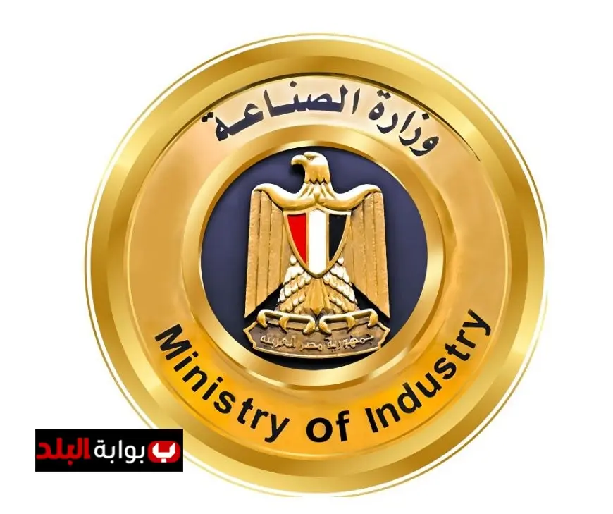 الصناعة توضح موقفها من الشائعات حول إلغاء بروتوكول الشحن الصيني للسيارات الكهربائية