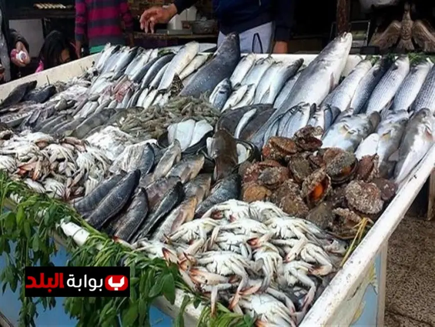 أسعار الأسماك في سوق العبور اليوم الاثنين البلطي بـ77 جنيه فقط