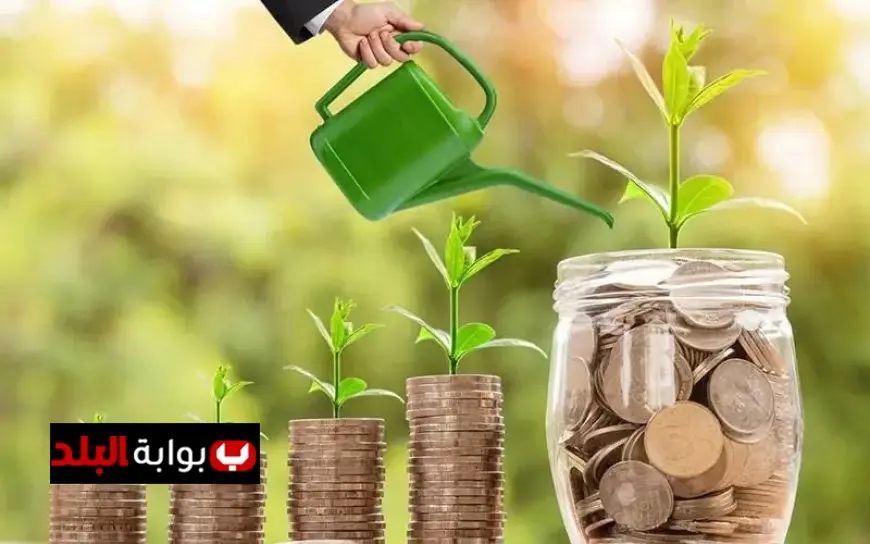 دور تمويل المشروعات الصغيرة في تعزيز النمو الاقتصادي وتوفير فرص العمل