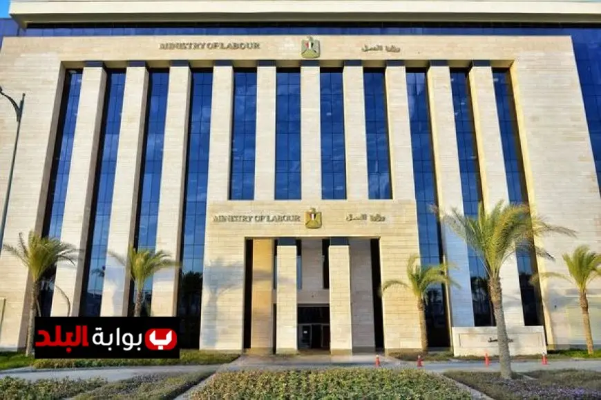 موعد استئناف الخدمات الإلكترونية في وزارة العمل قريبا