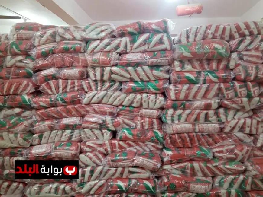 محافظ الجيزة يكشف عن ضبط 2258 قضية تموينية و635 طن من المواد المخالفة خلال حملات مباحث التموين