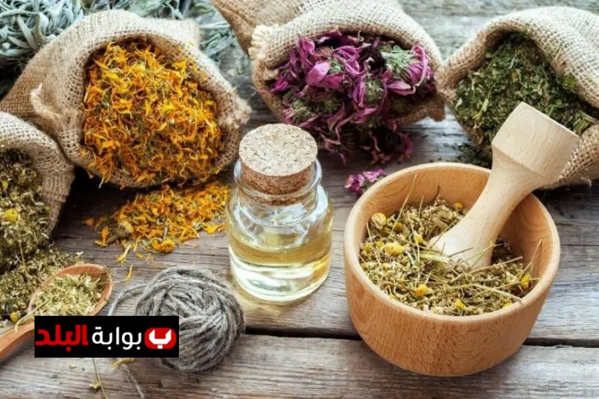مجدي نزيه يحذر من مخاطر ترندات الأعشاب الطبيعية وينبه إلى أن ليس كل ما هو طبيعي يعتبر مفيدا