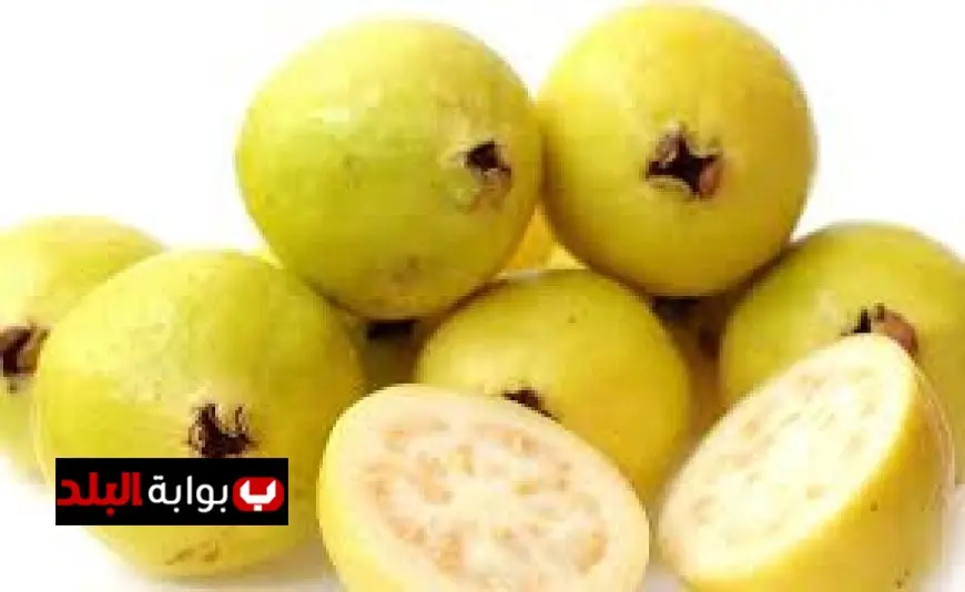 مجدي نزيه ينبه إلى مخاطر الإفراط في تناول الجوافة ويكشف التفاصيل الهامة