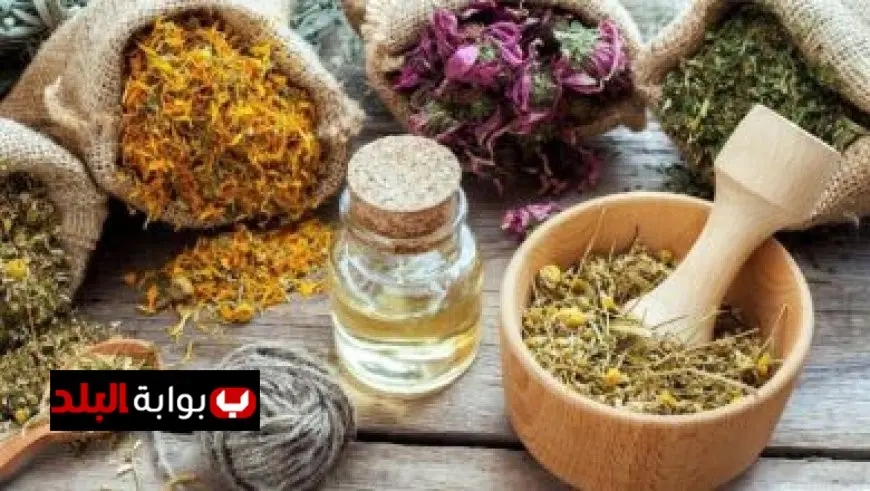 الفريق أول عبد المجيد صقر يجتمع مع وزير دفاع البوسنة والهرسك لتعزيز التعاون الأمني