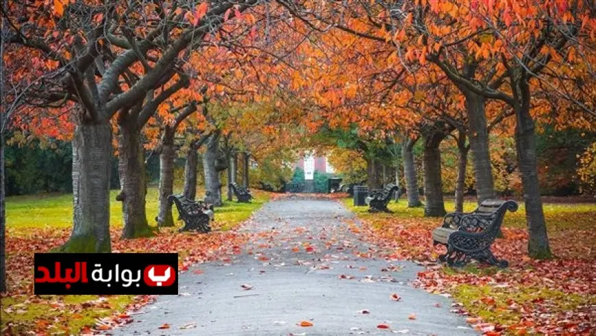 وداعًا للحرارة والتكييفات الأرصاد تعلن بدء فصل الخريف وانتهاء الصيف اليوم