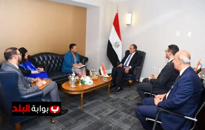 وزير الخارجية يعقد اجتماعًا مع المديرة التنفيذية للآلية الأفريقية لمراجعة النظراء لتعزيز التعاون الأفريقي