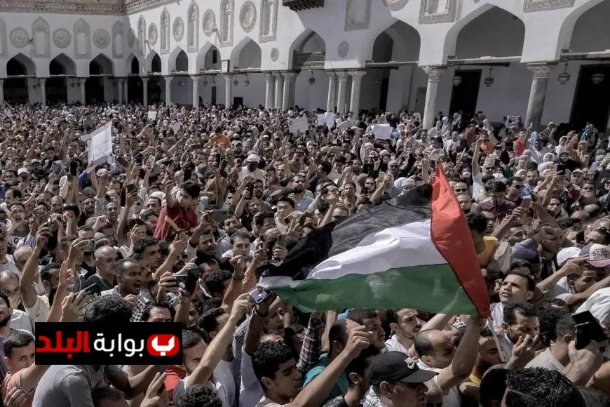 محمود الهباش يكشف دور حكمة السلطة في تعزيز الاعتراف الدولي بفلسطين