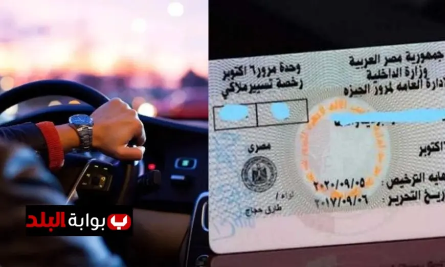 تعرف على الشروط الجديدة لاستخراج رخصة القيادة المهنية في 2023