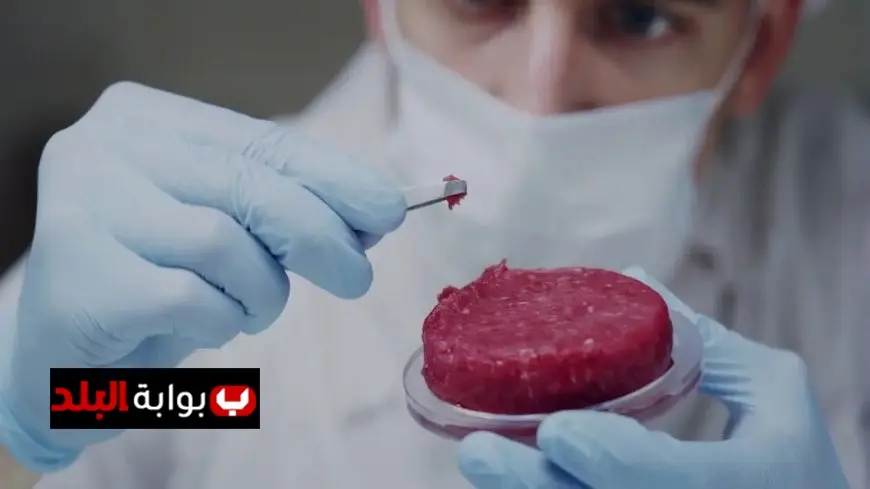 مستقبل زراعة اللحوم في هولندا يكشف عن تفاصيل مثيرة وتجارب مبتكرة