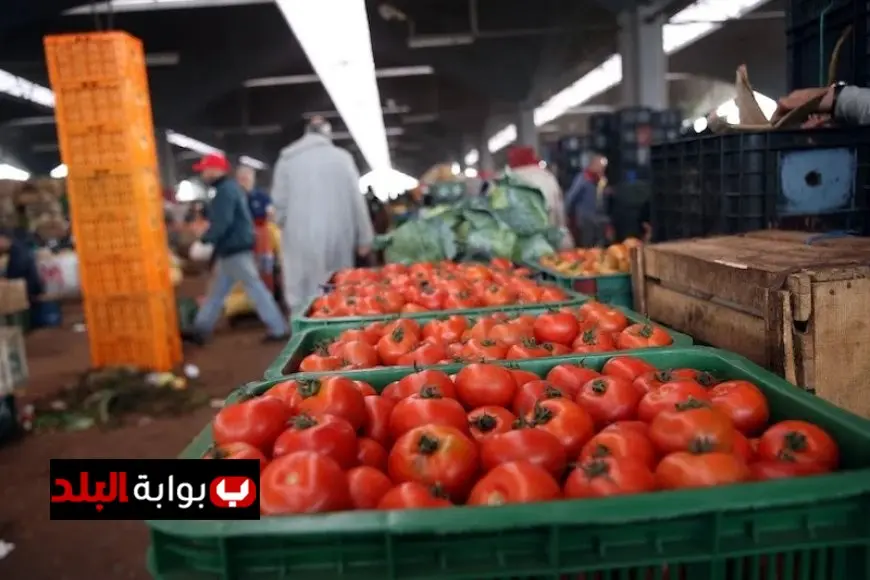 الزراعة تؤكد خلو الطماطم من المواد الكيميائية لتسريع النضج وتنفي الشائعات
