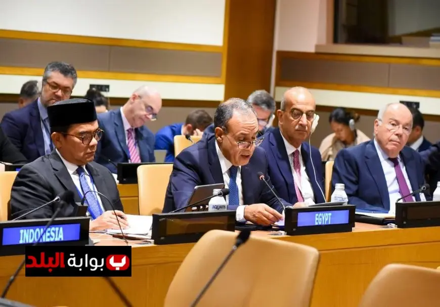 وزير الخارجية يدعو لتوحيد الجهود لتعزيز تمثيل الدول النامية في صنع القرار الاقتصادي الدولي