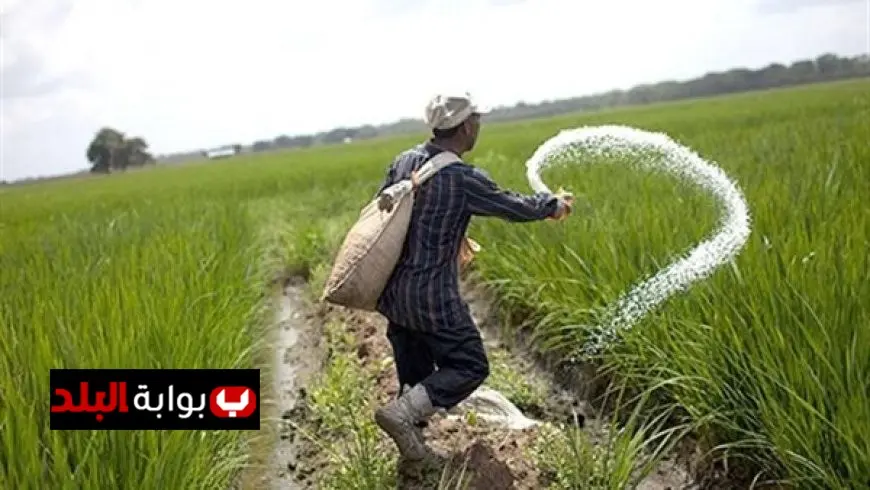 الزراعة تؤكد عدم ارتفاع أسعار الأسمدة المدعمة والتزام الدولة بدعم المزارعين