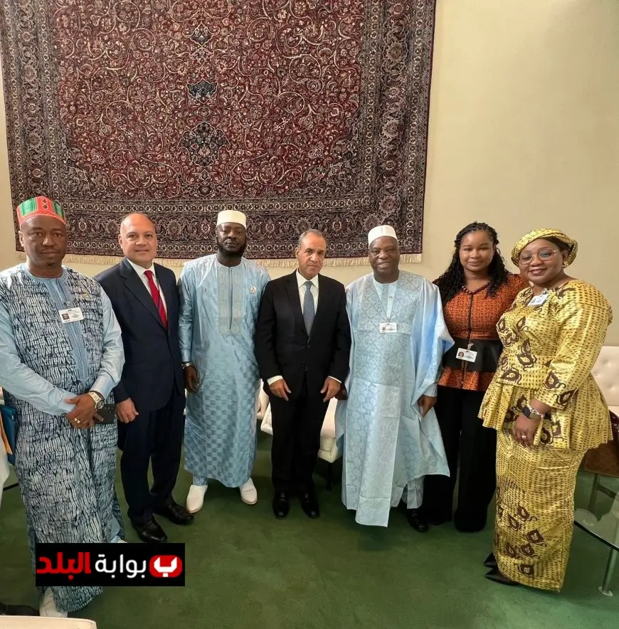 وزير الخارجية يبحث تعزيز العلاقات التاريخية مع نظيره الغيني