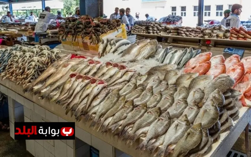أسعار الأسماك ليوم الأحد تتصدر المشهد والبرانيس يبدأ من 90 جنيهًا