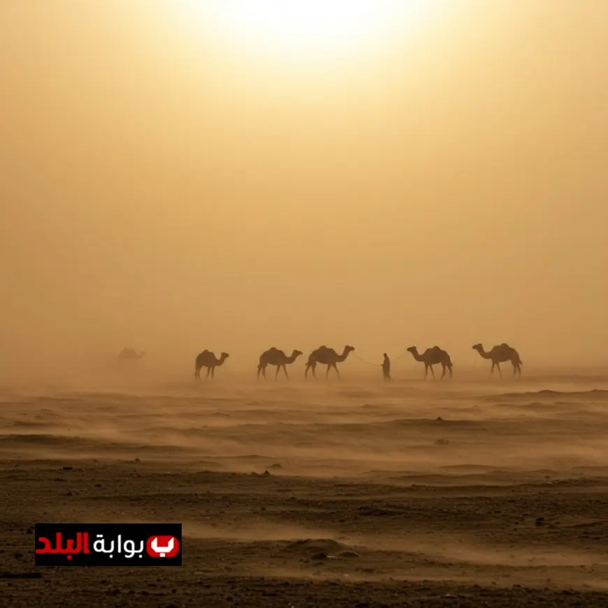 طقس الإثنين: اضطراب في الملاحة البحرية بخليج السويس مع ارتفاع للأمواج يصل إلى 3 أمتار