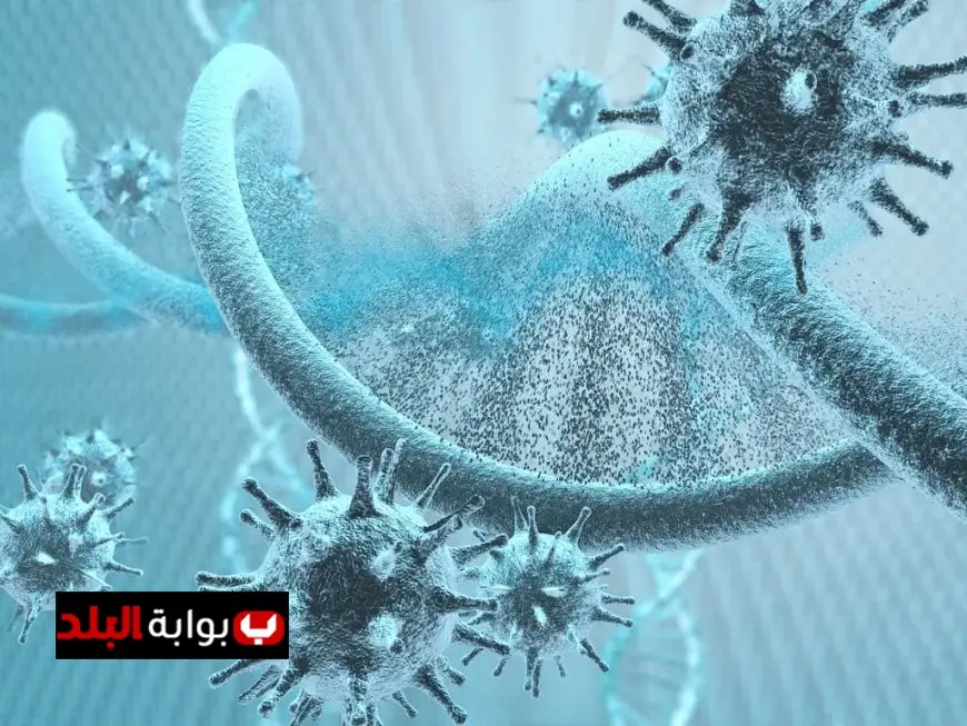 بيان مهم من وزارتي الصحة والتعليم حول فيروس اليد والفم والقدم HFMD