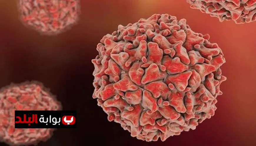 الصحة تكشف عن خطوات فعالة للوقاية من فيروس HFMD من خلال غسل اليدين وتعقيم الأسطح