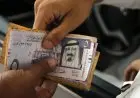 سعر الريال السعودي اليوم الخميس 30 أكتوبر 2025 وما إذا كان قد شهد انخفاضا