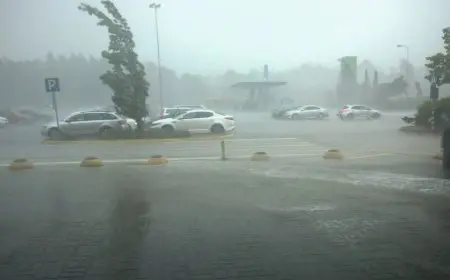 الأرصاد تكشف عن تفاصيل حالة الطقس اليوم وتسجيل 32 درجة مئوية في القاهرة