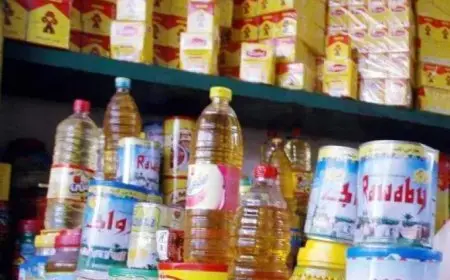 شعبة المواد الغذائية تؤكد كفاية مخزون السلع لتلبية احتياجات المصريين والضيوف مع دعوة لدعم نقدي مشروط