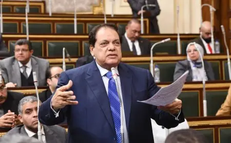 أبو العينين يسلط الضوء على التحديات الكبرى للتنمية في أفريقيا ويدعو لإنشاء منطقة صناعية خاصة بالقارة فيديو