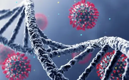 5 علامات تحذيرية تشير إلى فيروس HFMD لدى أطفال المدارس