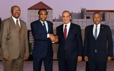 وزير خارجية مصر والسودان يؤكدان رفضهما القاطع للإجراءات الأحادية في نهر النيل