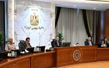 مجلس الوزراء يتخذ 3 قرارات عاجلة خلال اجتماع اليوم لتعزيز التنمية والاستجابة للتحديات