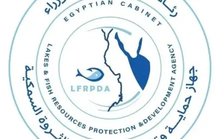 تنمية البحيرات تزرع نهر النيل في المنيا بـ 1.25 مليون زريعة بلطي نيلي